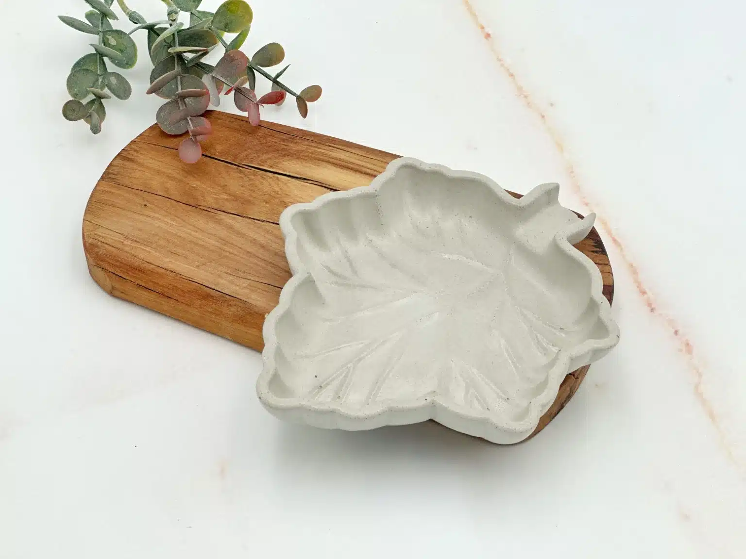 צלוחית בטון עלה