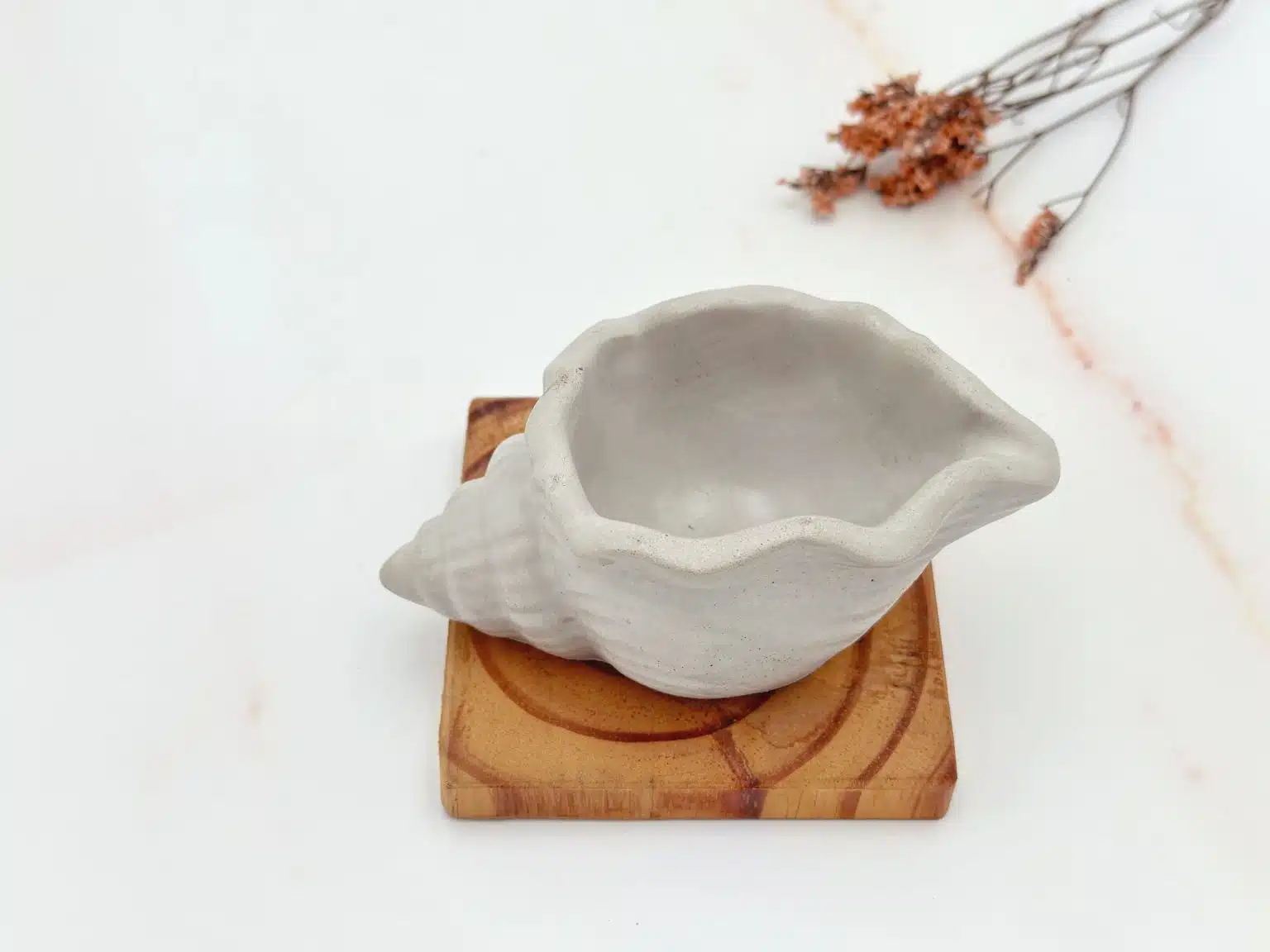 קערית בטון קונכיה