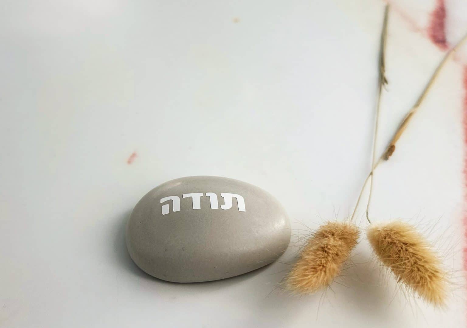 תודה